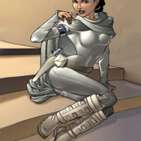 Star Wars heroes hidden sex - VipFamousToons.com