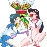 Dragonball and Sailormoon - Sailormoon.free-famous-toons.com